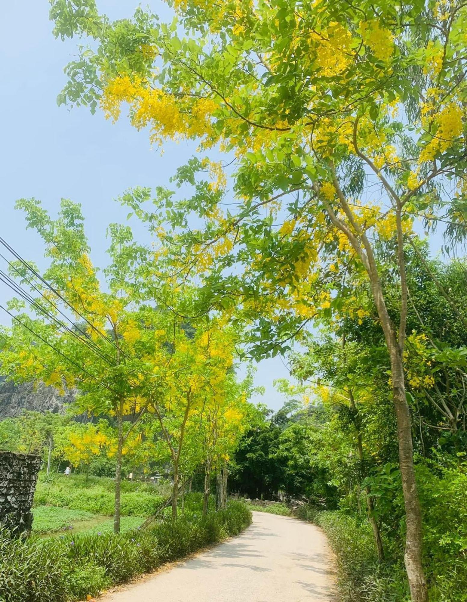 Tam Coc Min House Hotel Vu Lam Exterior foto